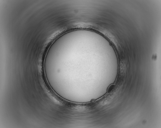 X0000100960581200807081244