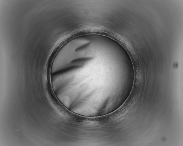 X0000100960582200807081244