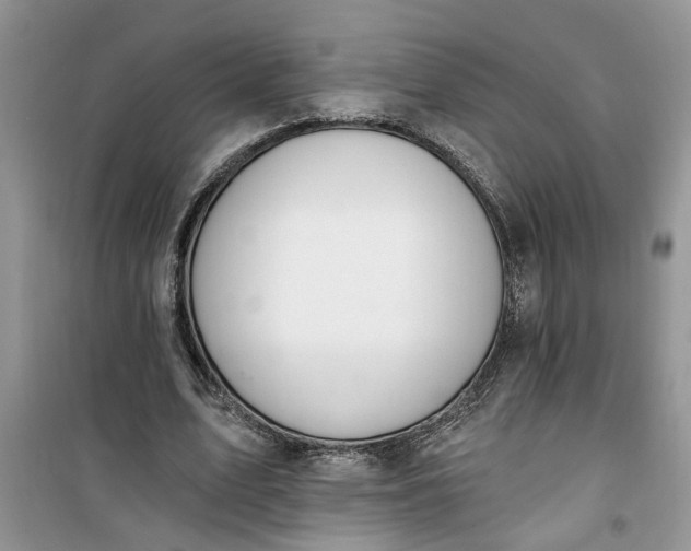 X0000100960583200807081244