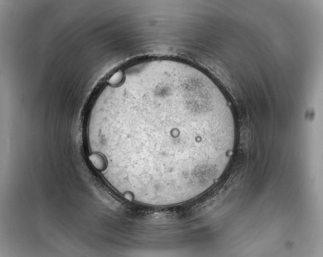 X0000100960584200807081244