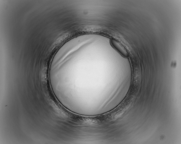 X0000100960585200807081244