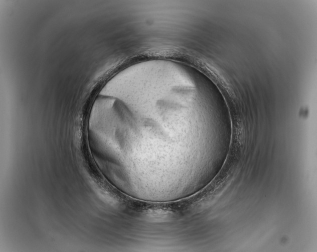 X0000100960586200807081244