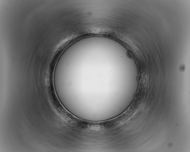 X0000100960587200807081243