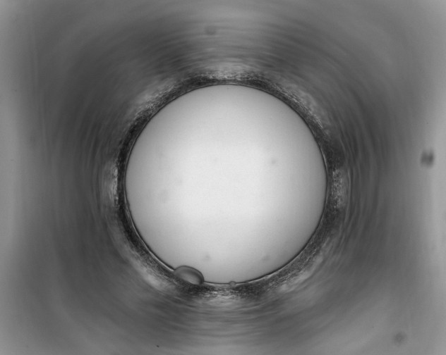 X0000100960589200807081243