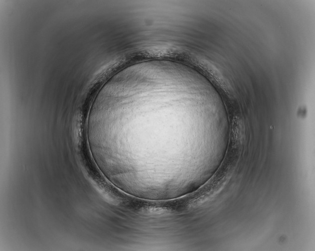 X0000100960590200807081243