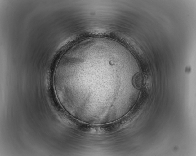 X0000100960591200807081243