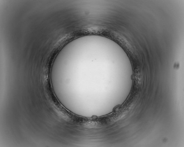 X0000100960593200807081243