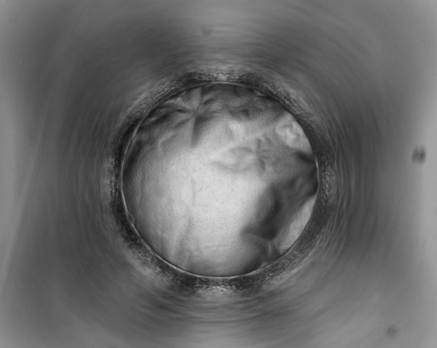 X0000100960594200807081243