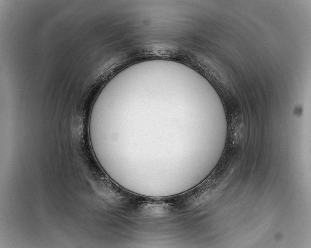 X0000100960595200807081243