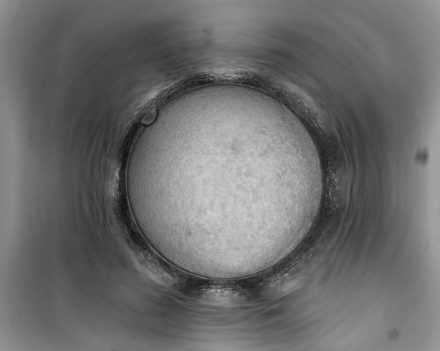 X0000100960596200807081243