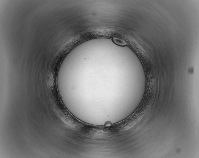 X0000100960597200807081243