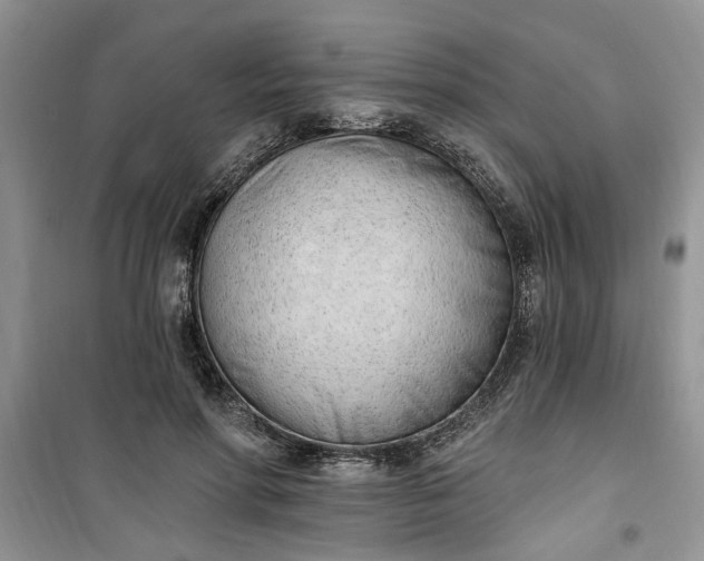 X0000100960598200807081243