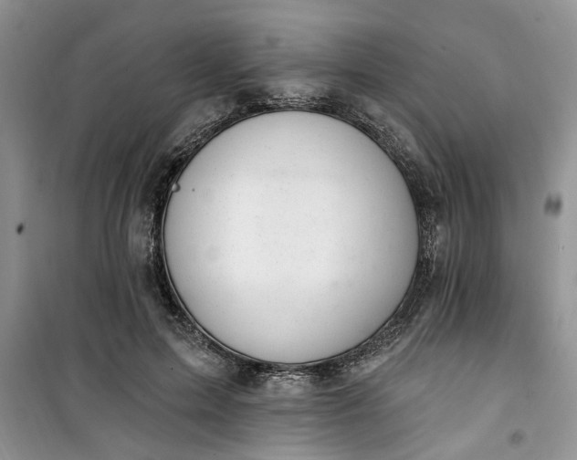 X0000100960599200807081243