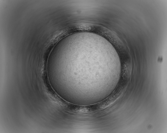 X0000100960600200807081243