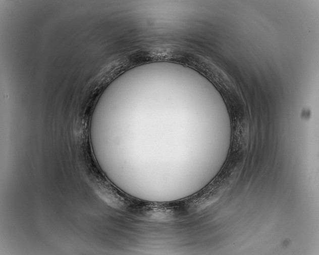 X0000100960601200807081243