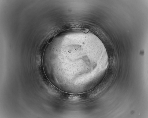 X0000100960602200807081243