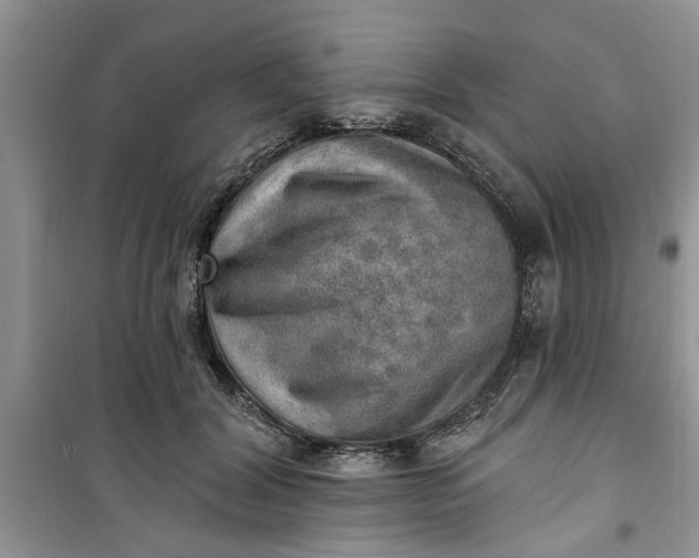 X0000100960604200807081243