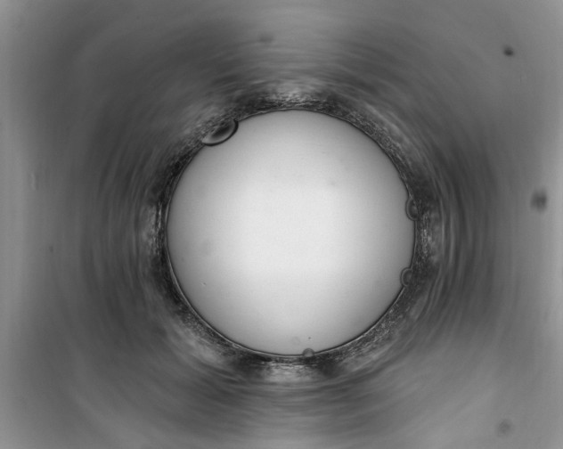 X0000100960605200807081243