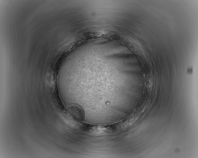 X0000100960607200807081243