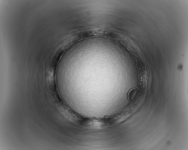 X0000100960610200807081243