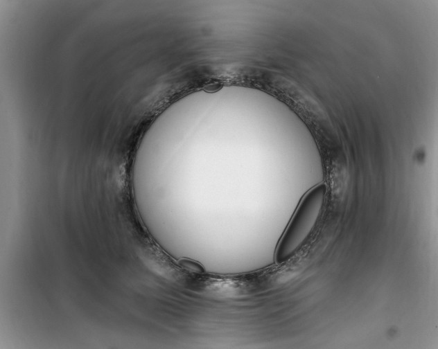 X0000100960611200807081243