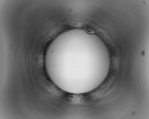 X0000100960612200807081243