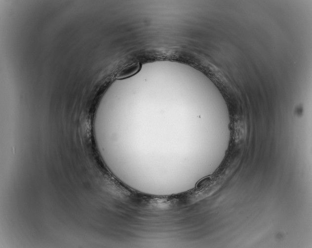 X0000100960613200807081243