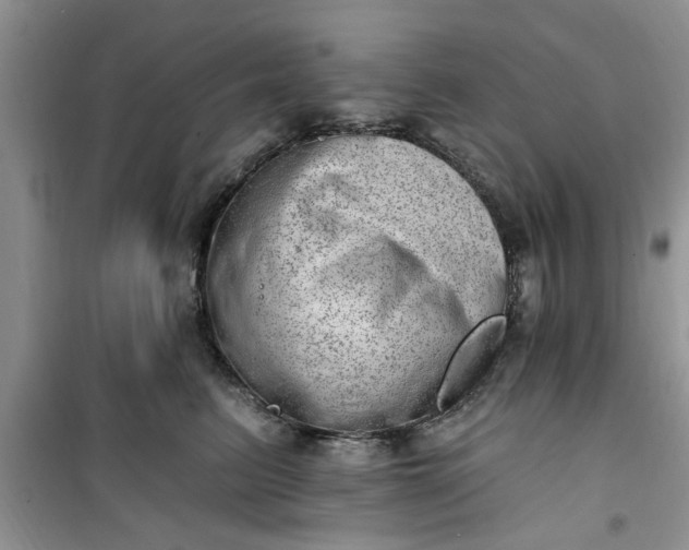 X0000100960615200807081243