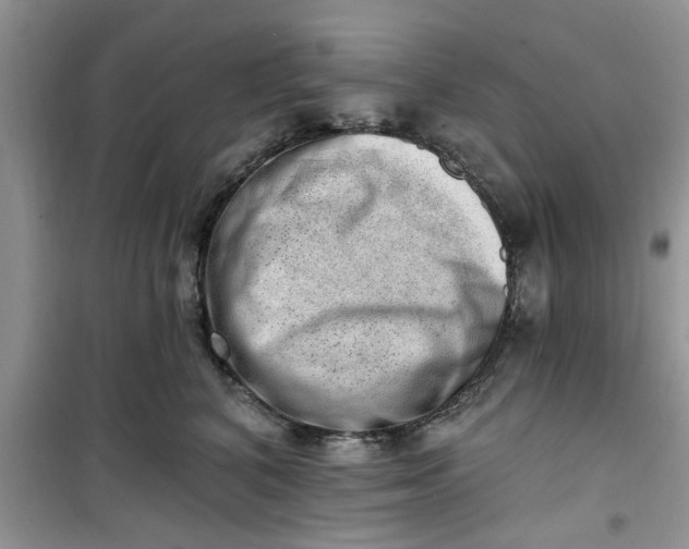 X0000100960616200807081243