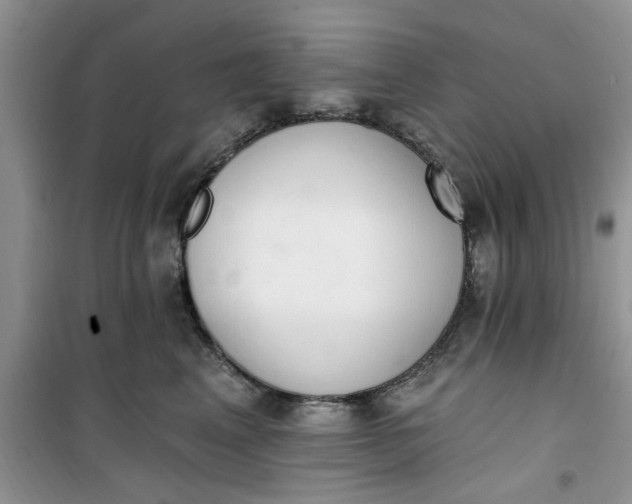 X0000100960617200807081243