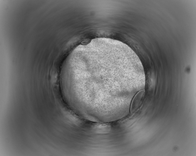 X0000100960619200807081243