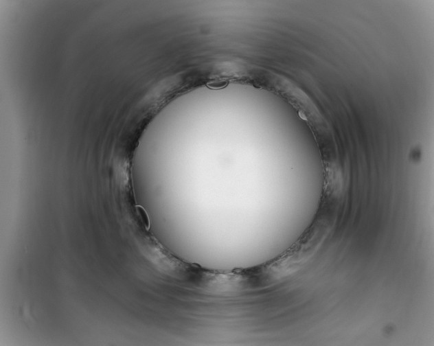 X0000100960621200807081243