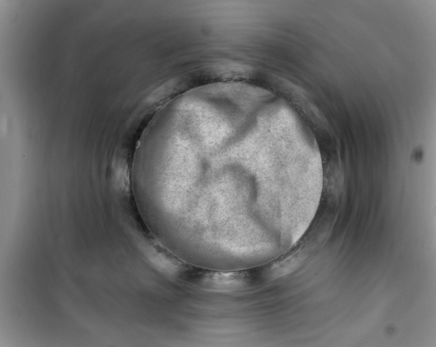 X0000100960622200807081243