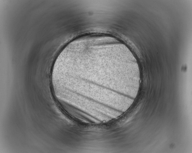 X0000100960625200807081242