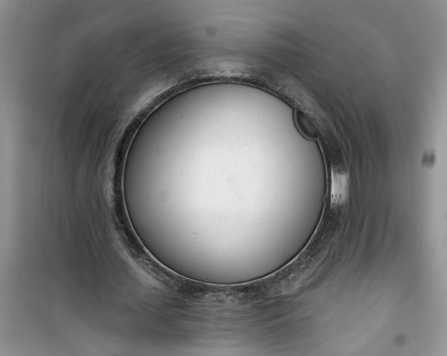 X0000100960627200807081242