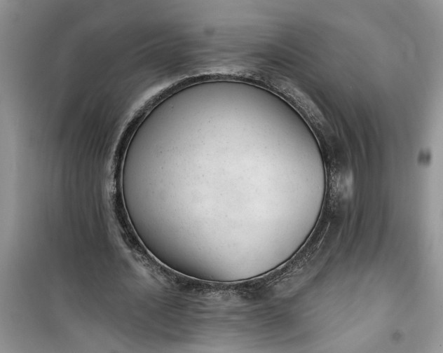 X0000100960628200807081242