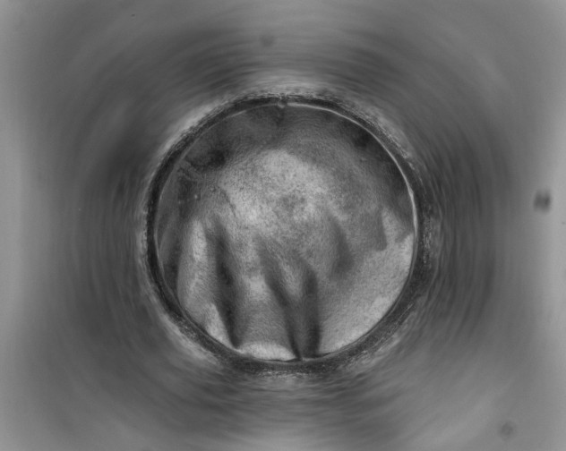 X0000100960629200807081242