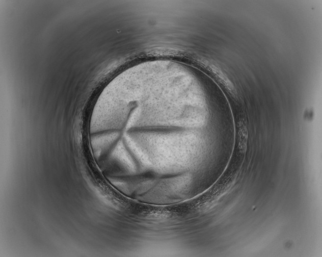 X0000100960631200807081242