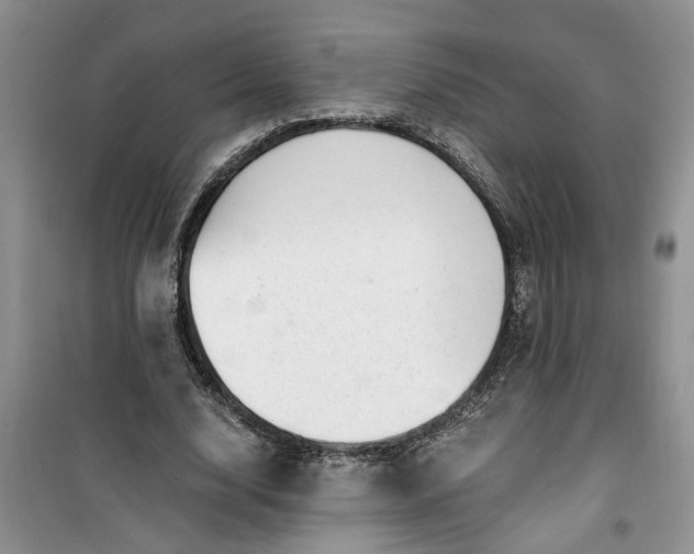 X0000100960632200807081242