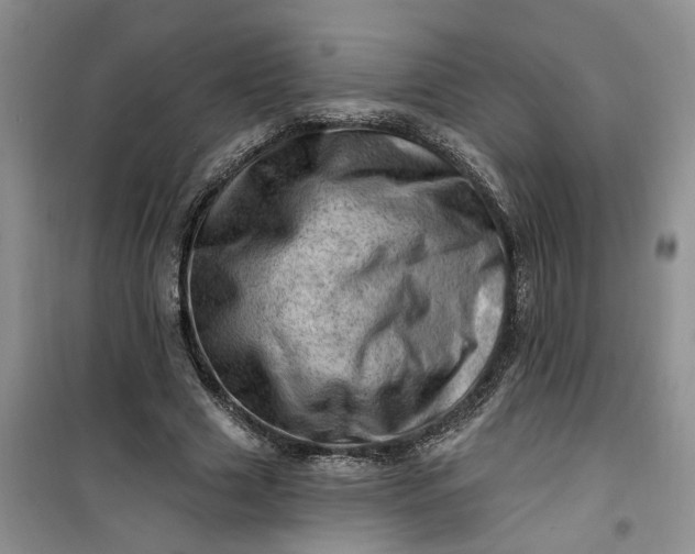 X0000100960633200807081242