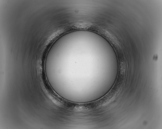 X0000100960634200807081242