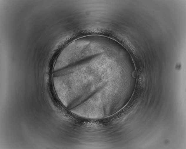 X0000100960635200807081242