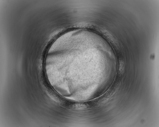 X0000100960636200807081242