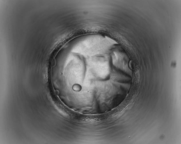 X0000100960638200807081242