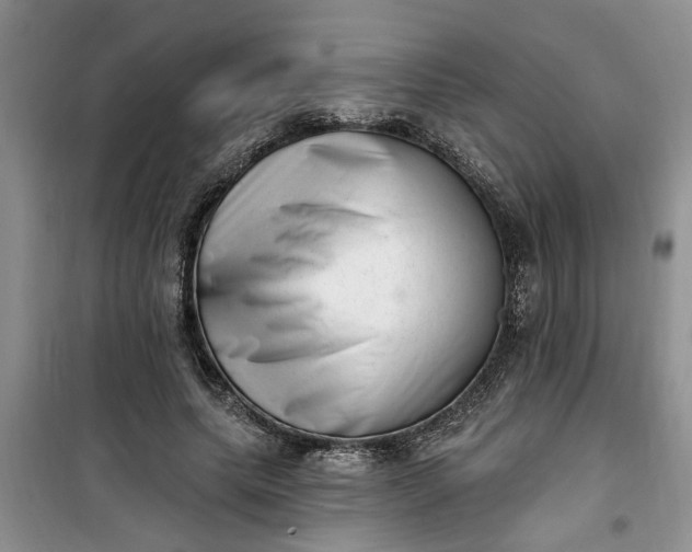 X0000100960639200807081242