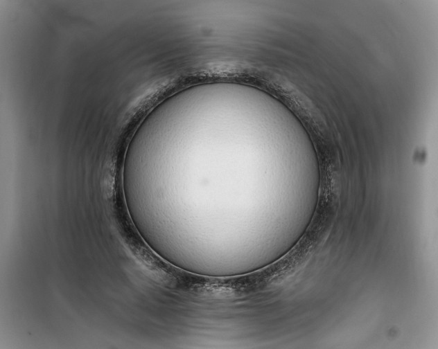 X0000100960640200807081242