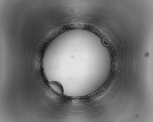 X0000100960641200807081242