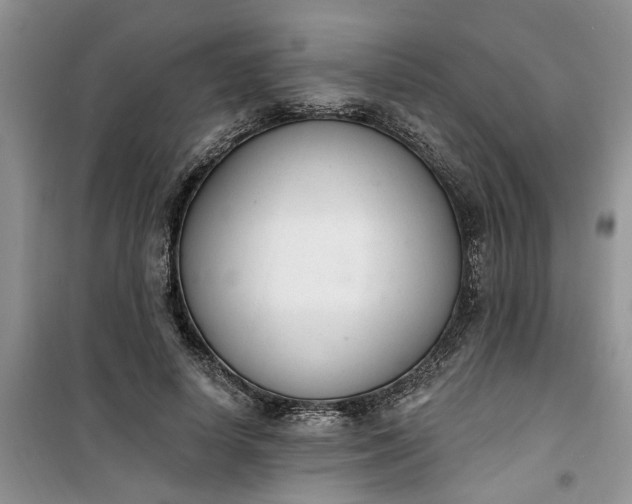 X0000100960642200807081242