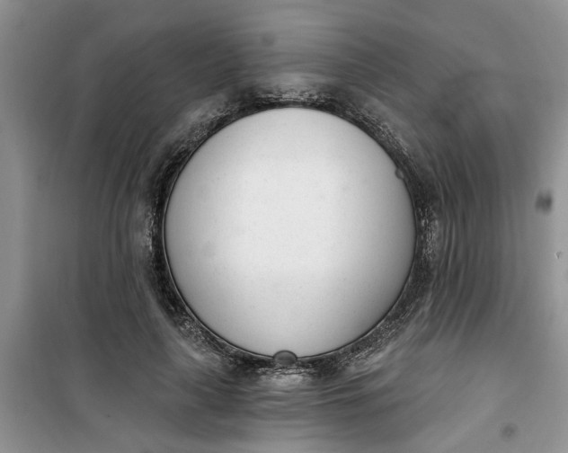 X0000100960643200807081242