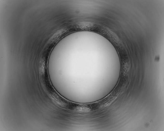 X0000100960644200807081242